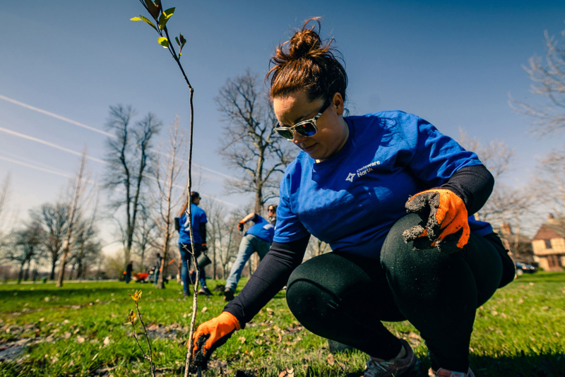 Employee planting trees at Earth Day event