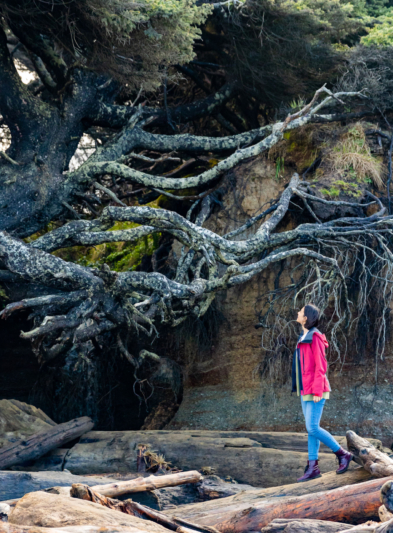 A guest exploring the Tree of Life at Kalaloch Lodge.
