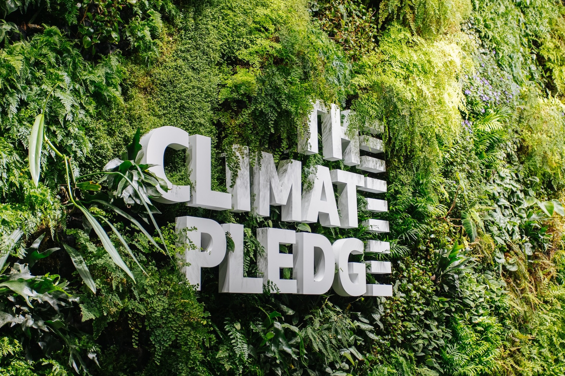 Climate Pledge Arena logo